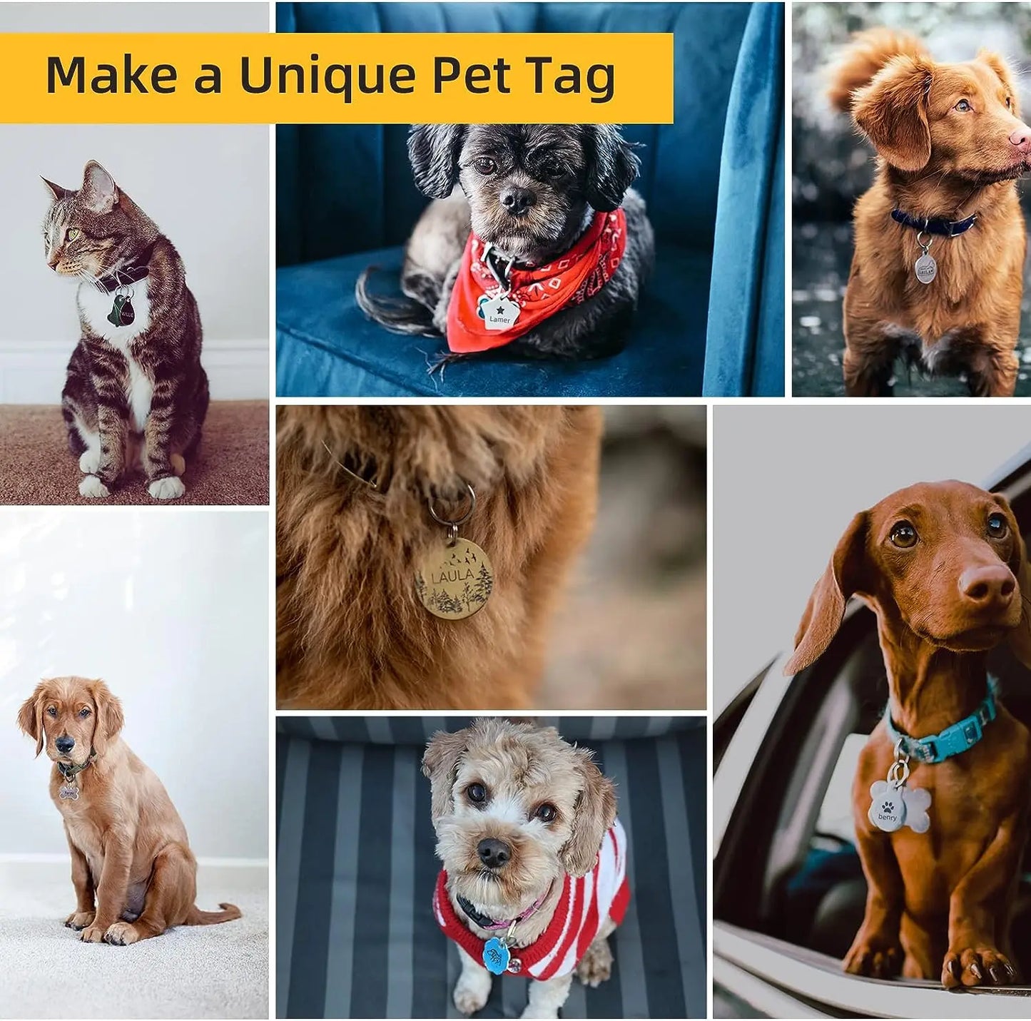 Mini máquina de grabado y corte láser DJ6, grabador láser de 3W, impresora láser para madera, cuero y vidrio