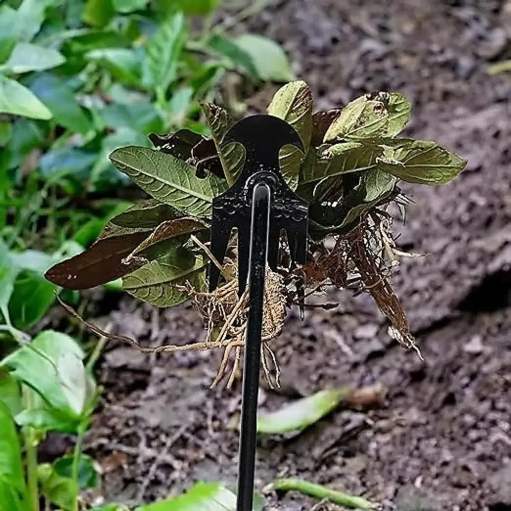 4 齿多功能除草器，便携式花园除草工具，镀锌手柄，适用于蔬菜种植除草