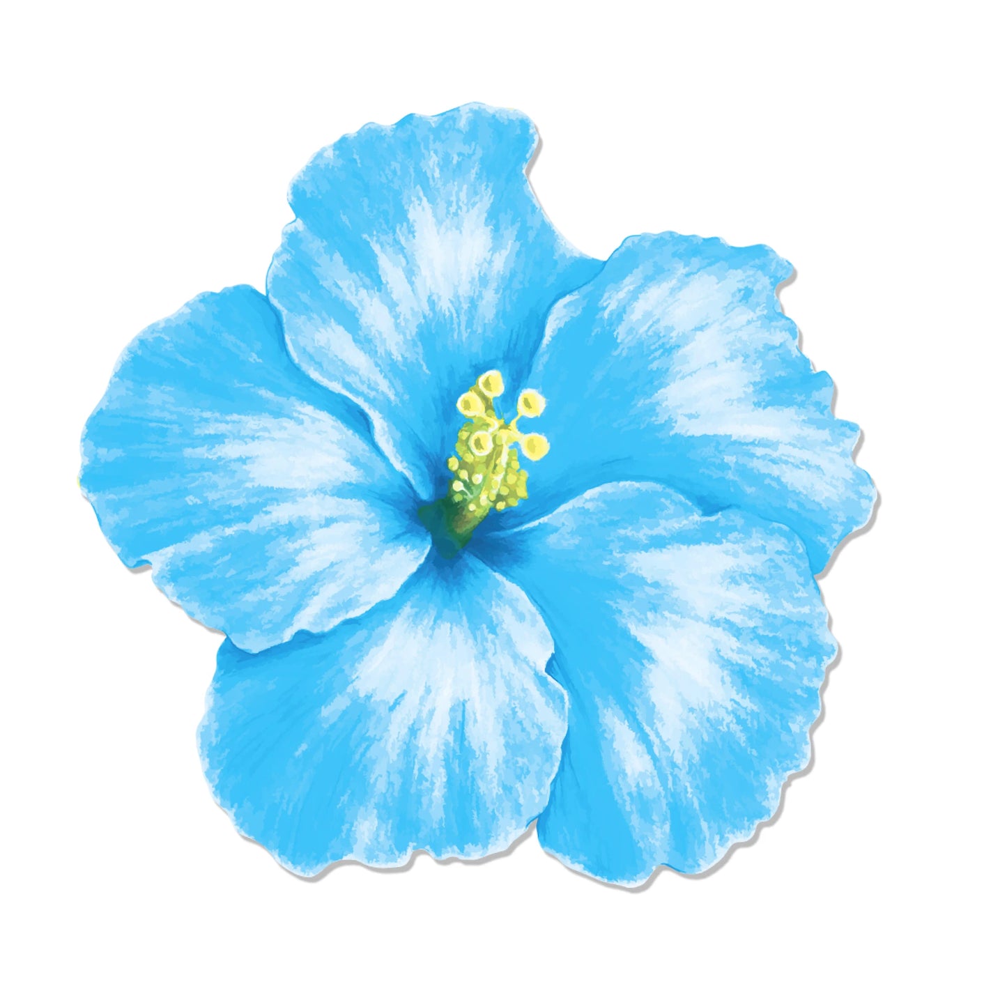 Hawaiian Theme Party Favors Eyeglasses Fun Sunglasses Prop Food Tray Hawaiian Flower Table Mat Beach Summer Party Decorations