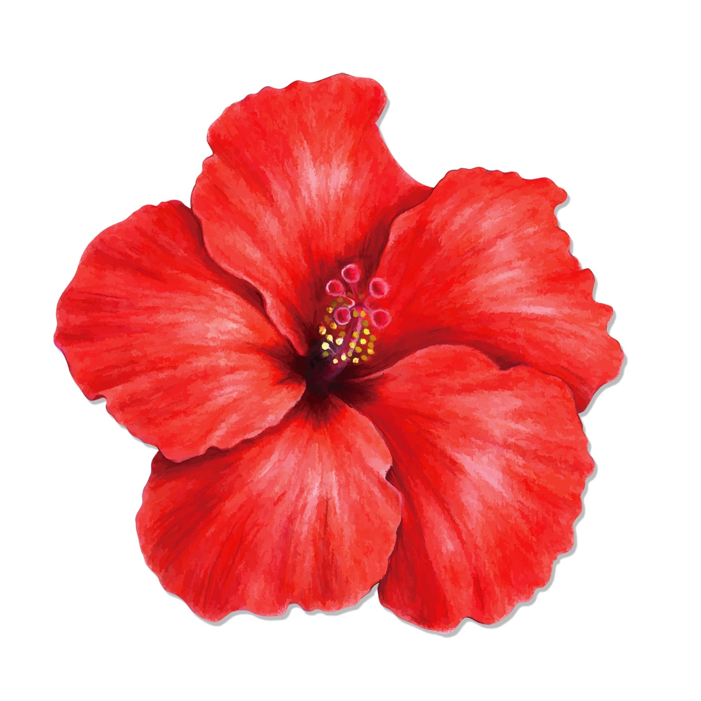 Hawaiian Theme Party Favors Eyeglasses Fun Sunglasses Prop Food Tray Hawaiian Flower Table Mat Beach Summer Party Decorations